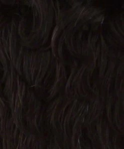 Vivica Fox Charli | HF Synthetic Wig (Basic Cap) WOMEN'S WIGS