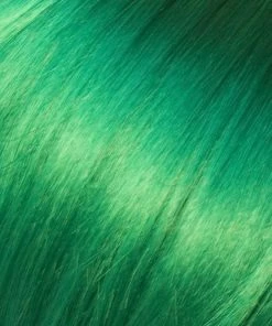 Illusions Icon | Synthetic Wig (Basic Cap) WOMEN'S WIGS