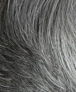 HIM Gallant | Synthetic Lace Front Wig (Mono Top)