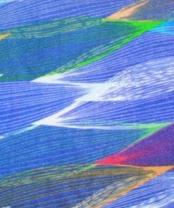 Jon Renau The Softie - Print NEW ARRIVALS