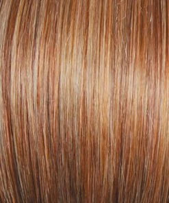 Raquel Welch Aperitif | Synthetic Hair Bun (Interlocking Clips)