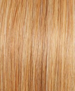 Raquel Welch WOMEN'S WIGS High Fashion | Remy Human Hair Lace Front Wig (Hand-Tied)