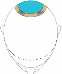 Jon Renau Top This 12