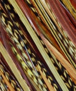 Wigs.com HAIR EXTENSIONS Hair Feathers | Natural Hair