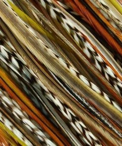 Wigs.com HAIR EXTENSIONS Hair Feathers | Natural Hair