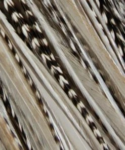 Wigs.com HAIR EXTENSIONS Hair Feathers | Natural Hair