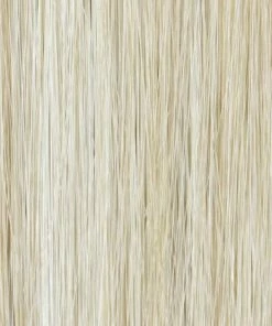 TressAllure Brushed Pixie | HF Synthetic Wig (Basic Cap) WOMEN'S WIGS 54 TressAllure Brushed Pixie | HF Synthetic Wig (Basic Cap) WOMEN'S WIGS