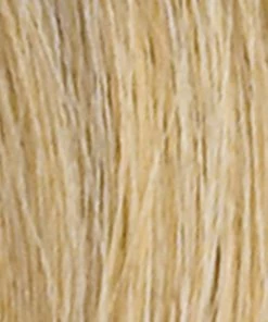 Ellen Wille HAIR BUNS Piccolo | Synthetic Hairpieces (Draw String Bun) 24 Ellen Wille HAIR BUNS Piccolo | Synthetic Hairpieces (Draw String Bun)